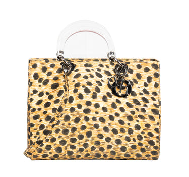 Leopard Print Nylon Lady Dior