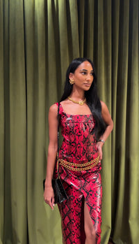 Python Printed Corset Top & Skirt