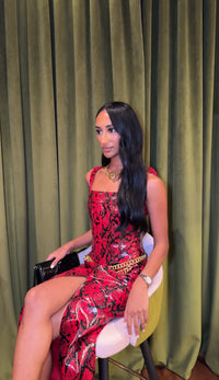 Python Printed Corset Top & Skirt