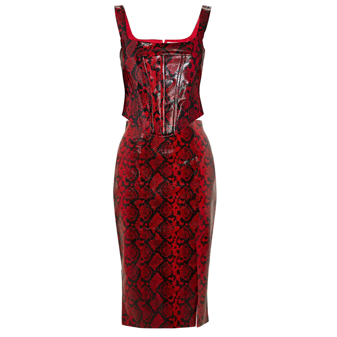 Python Printed Corset Top & Skirt