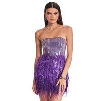 Anastasia Sequin Feather Dress