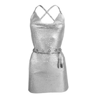 Elysia Belted Dress Silver