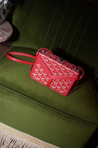 Vintage Minaudiere Goyardine Red Bag