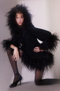 Laticia Dress With Feathers
