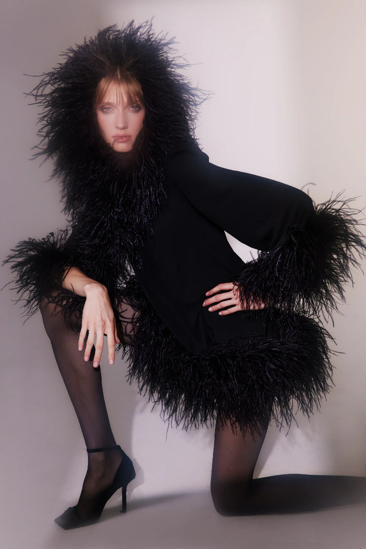 Laticia Dress With Feathers