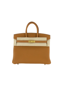 Birkin 25 Togo Gold Hardware