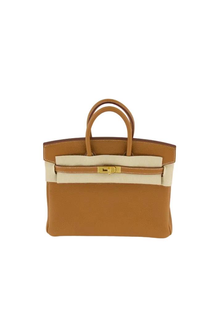 Birkin 25 Togo Gold Hardware