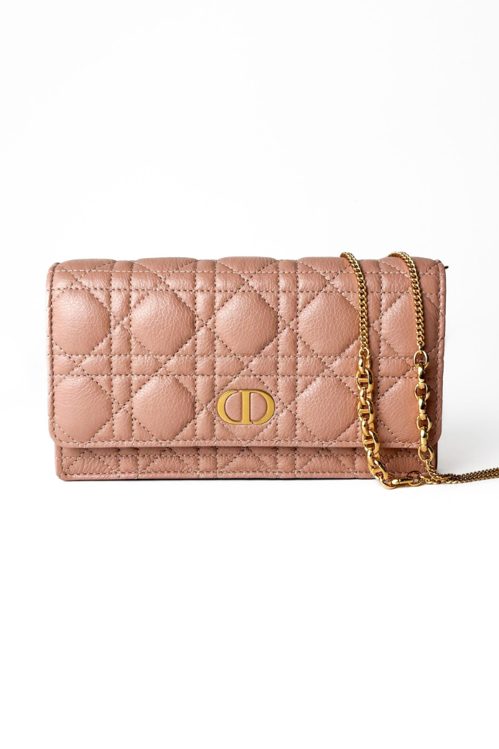Caro Pouch with Chain Rose des Vents Calfskin