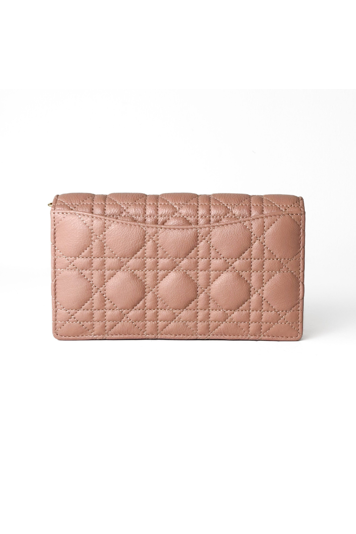 Caro Pouch with Chain Rose des Vents Calfskin